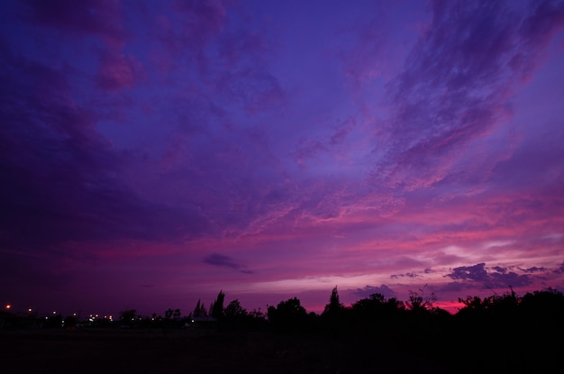 Silhouetten van bomen tegen de dramatische hemel bij zonsondergang