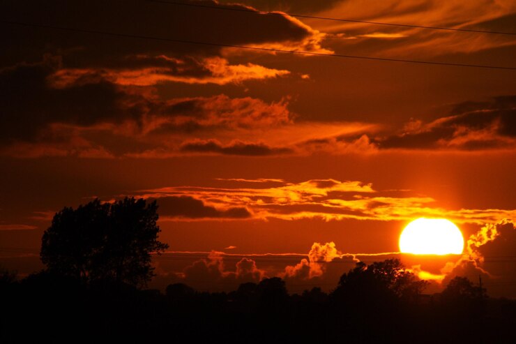 Foto silhouetten van bomen tegen de hemel bij zonsondergang