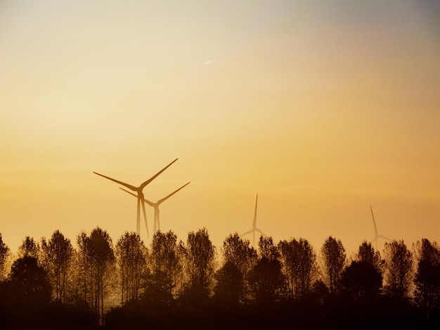 Foto silhouetten van bomen tegen de hemel bij zonsondergang