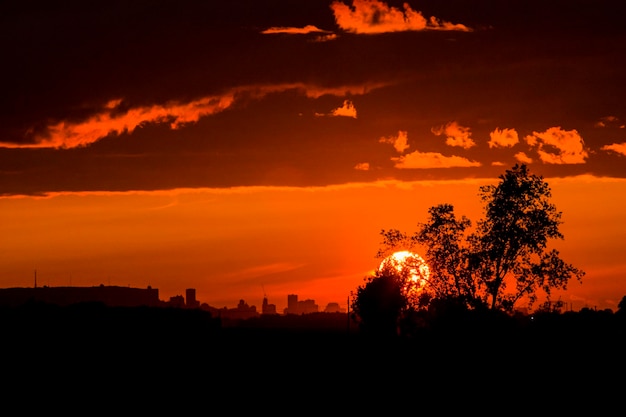 Silhouetten van bomen tegen de hemel bij zonsondergang