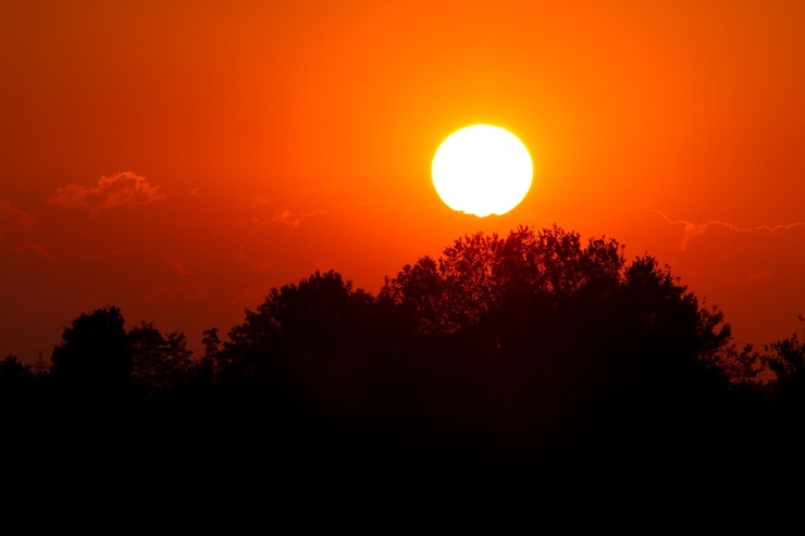Foto silhouetten van bomen tegen de romantische hemel bij zonsondergang