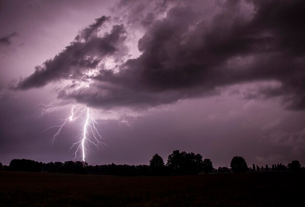 Silhouetten van bomen tegen stormwolken