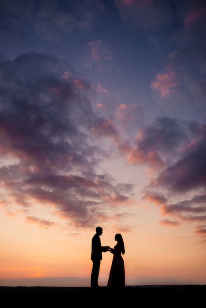 Foto silhouetten van de bruid en bruidegom, de pasgetrouwden kijken elkaar hand in hand. bruiloft fotografie concept. kopieer ruimte
