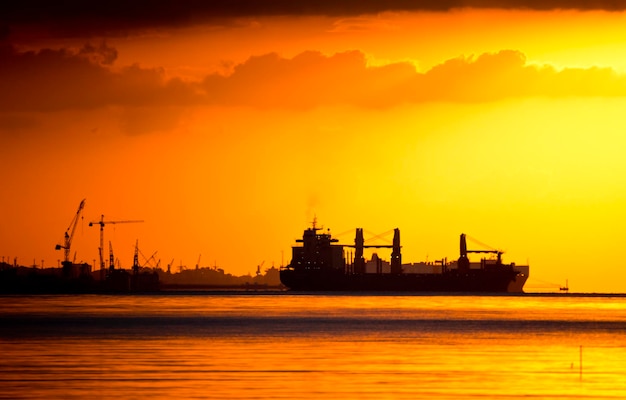 Silhouetten van kranen en vrachtschepen