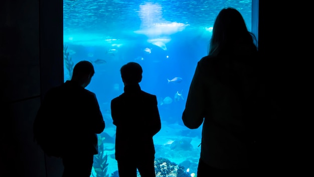 Silhouetten van mensen die tropische zeevissen observeren in het Oceanarium.