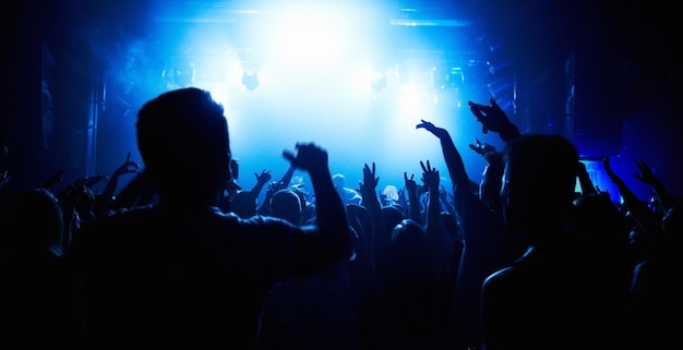 Silhouetten van mensen op een muziekconcert