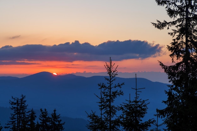 Silhouetten van sparren in de bergachtige vallei van het Rodopegebergte tegen de achtergrond van een avondrood