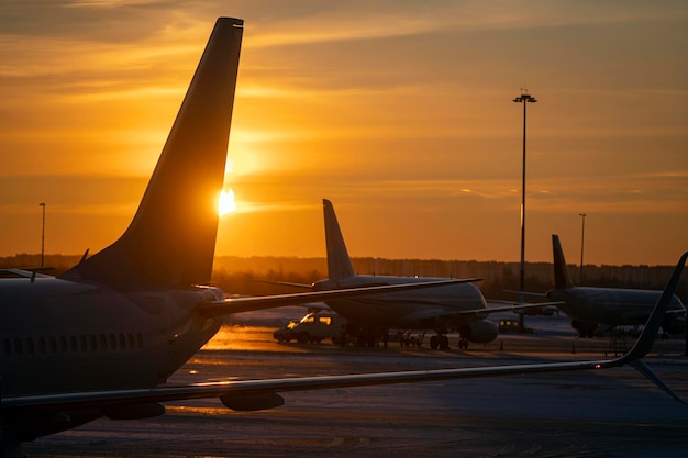 Siluette degli aeroplani con le code all'aeroporto durante l'immagine di concetto di tramonto giallo brillante