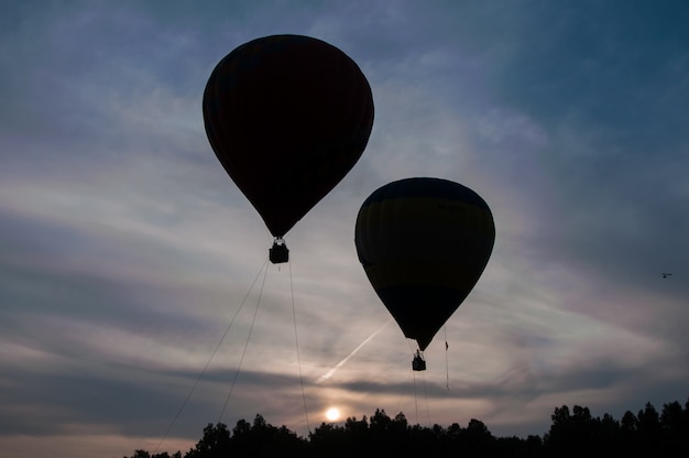 Silhouettes of balloons