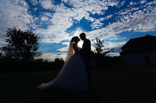 Silhouettes of the bride and groom hugs and kisses in the meadow against the backdrop of the beautiful sky and sunset