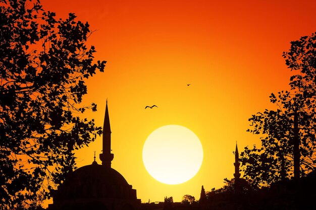 Foto silhouette dei minareti delle moschee e delle cime degli alberi al tramonto istanbul turchia