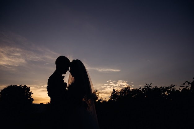 The silhouettes of the newlyweds lean to each other over the evening sky.