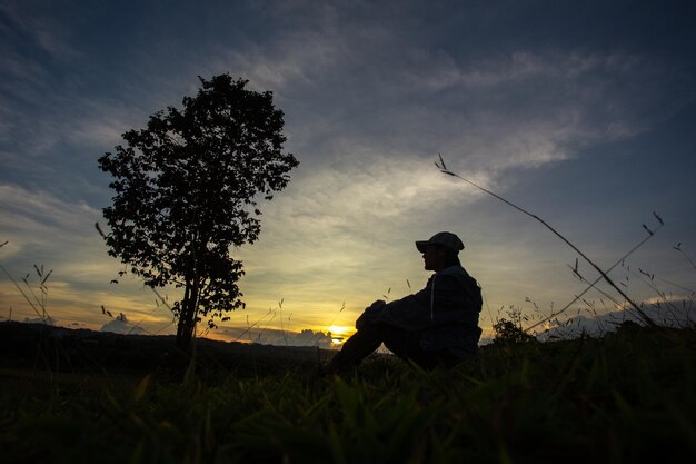 写真 夕日と雲の背景を持つ牧草地の木々 のシルエット