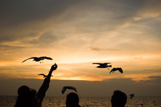 Silhouettes People feed the bird.