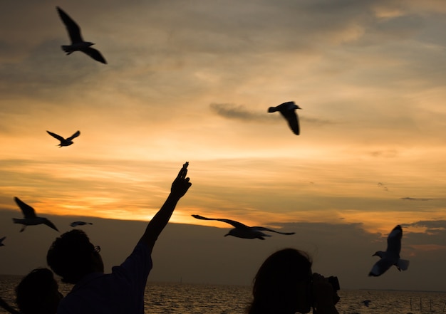 Silhouettes People feed the bird.