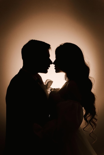 Silhouettes profiles of the bride and groom in the backlight first meeting in smart clothes romance and love