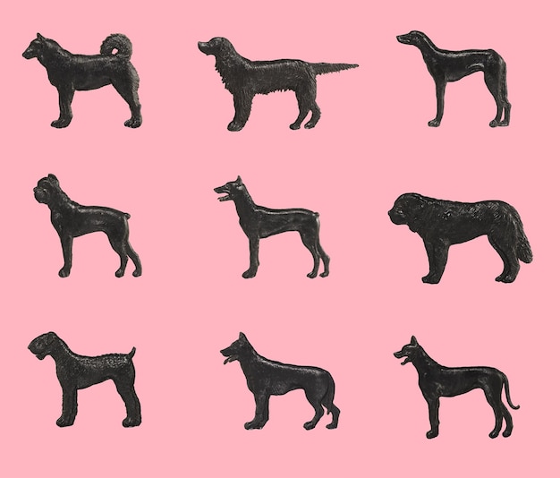 Silhouettes of purebred dogs on a pink background