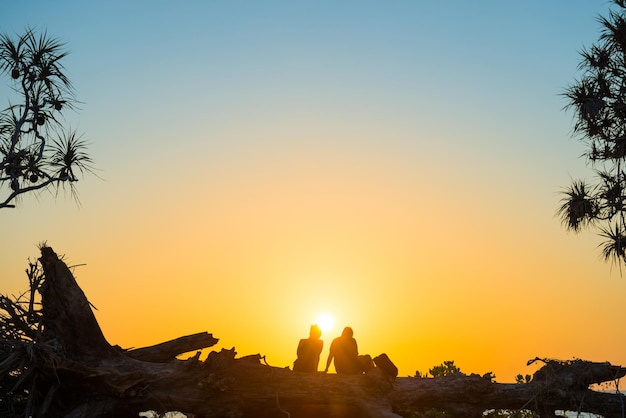 Silhouettes of romantic couple sitting on tree trunk at tropical beach at sunset