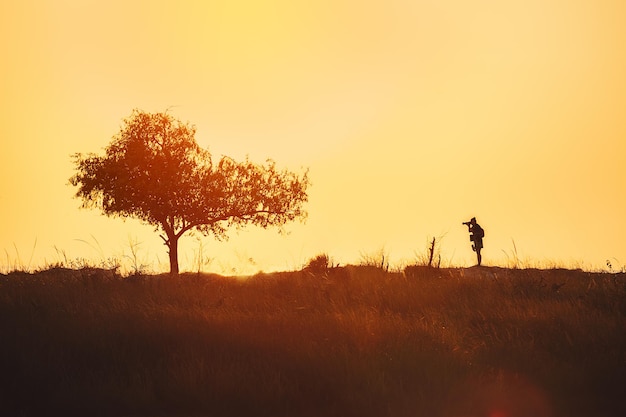 Silhouettes of tourist photographer and tree at sunrise