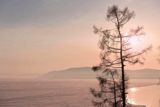 凍った冬の湖に沈む夕日を背景に木々のシルエット
