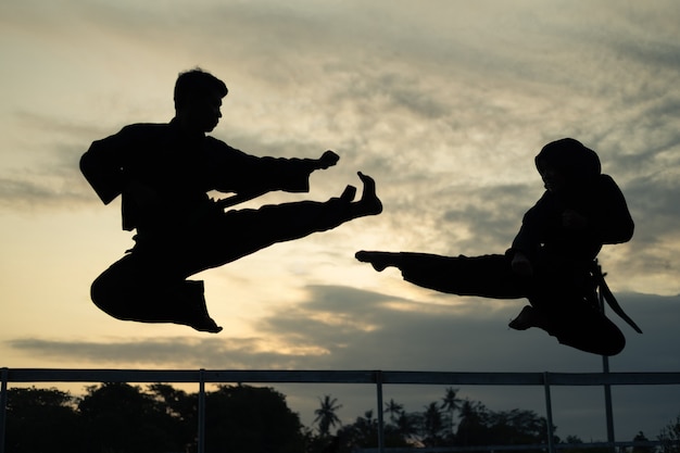 Silhouettes of two fighters with kicks drifting at sunset