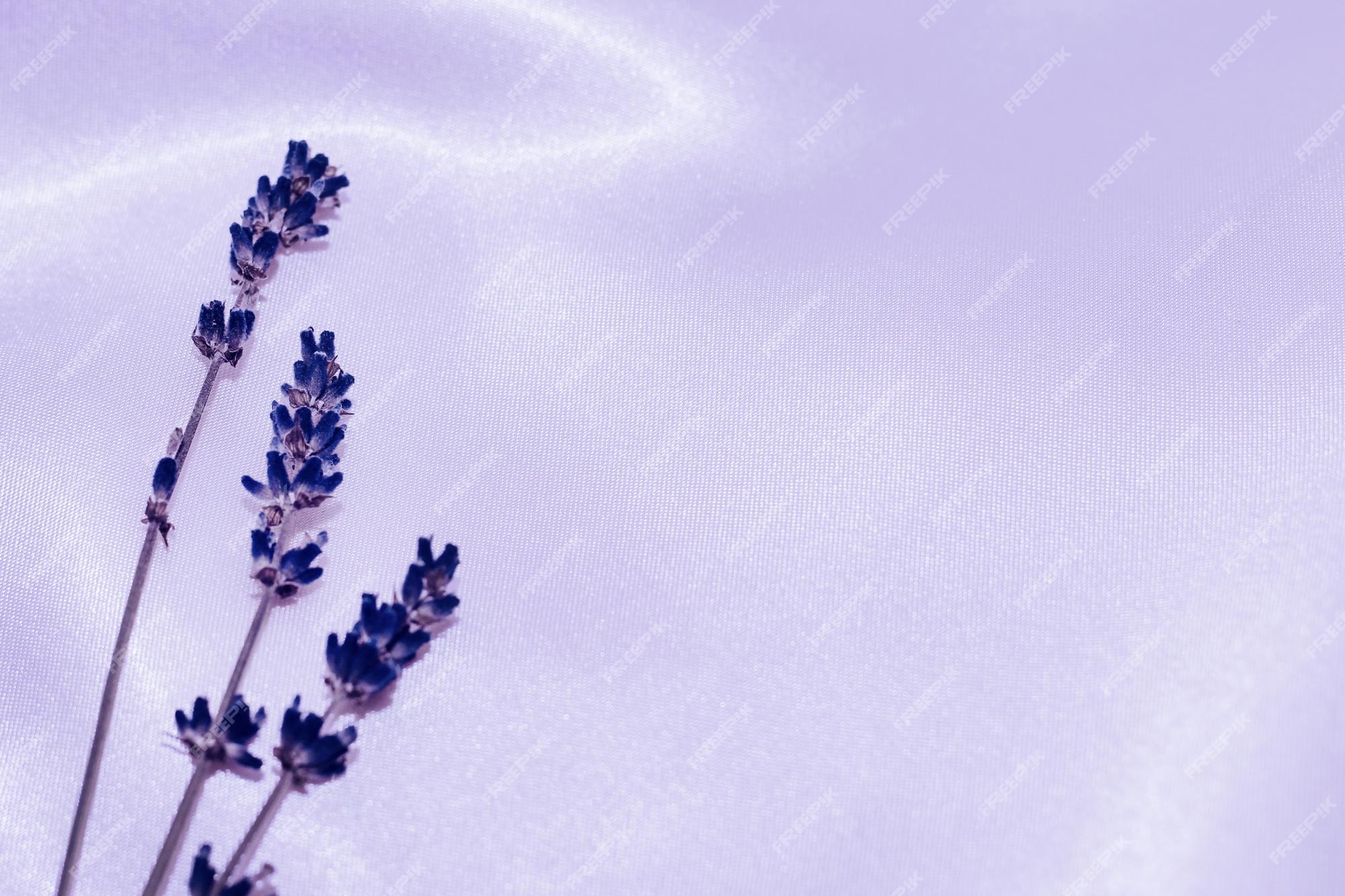 Lavender Wallpaper Images - Free Download on Freepik Lavender Wallpaper Images - Free Download on Freepik