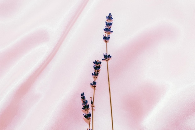 Silk fabric texture with lavender sprigs on pink background