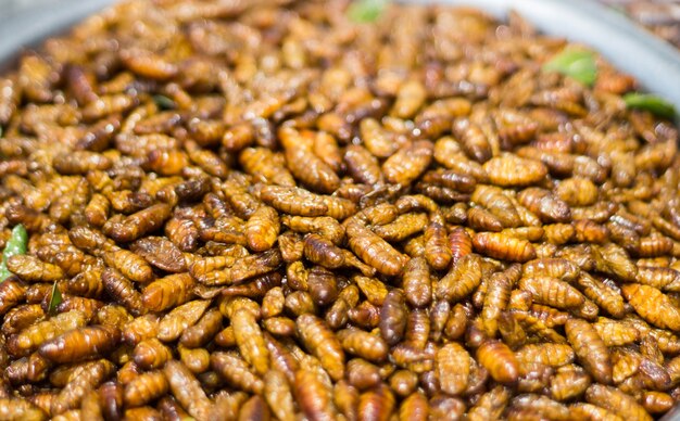 Photo silk worm fried with sauce