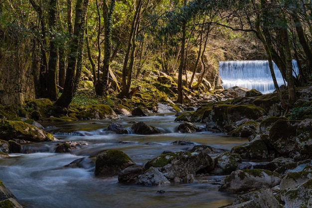 Foto fiume setoso che scorre tra le rocce e con una cascata a tendina sullo sfondo