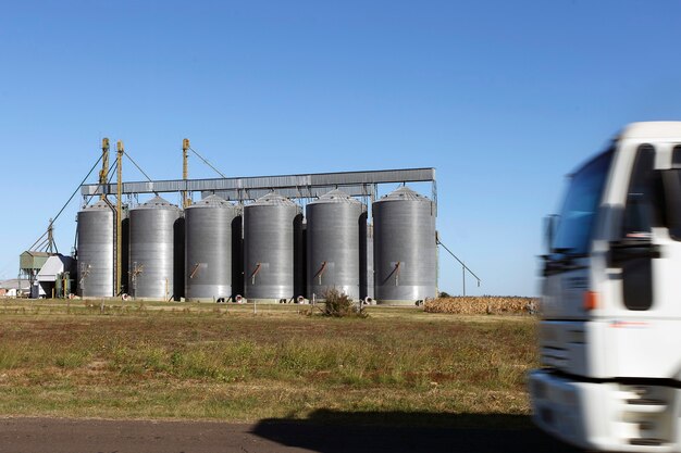 Silo grains