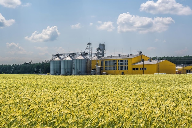 Silo's en agro-industrieel veecomplex op agroverwerkings- en productiefabriek met moderne graanschuurlift kippenboerderij rijen kippenhok