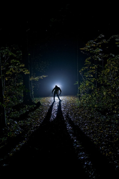 Siluette of man in the forest on the night