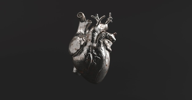 Silver anatomical heart. anatomy and medicine concept\
image.