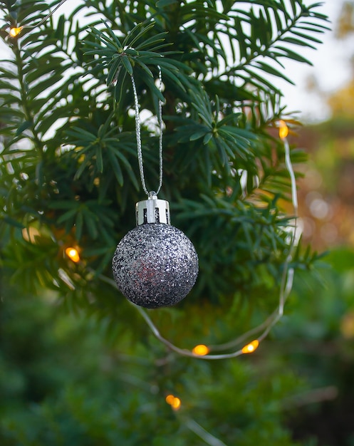 Silver christmas ornament hanging on the tree