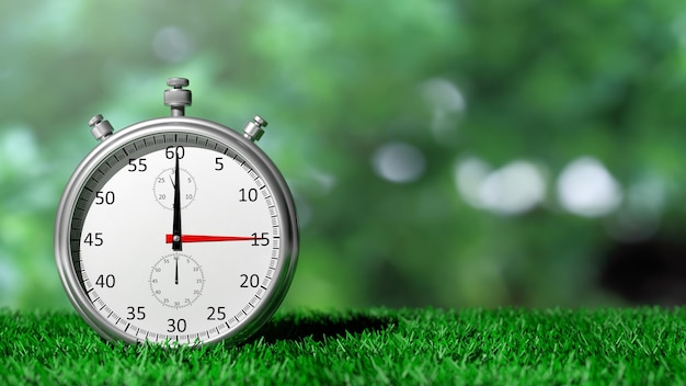 Серебряный хронометр на зеленой траве