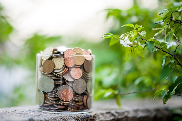 Silver coins placed together in groups.