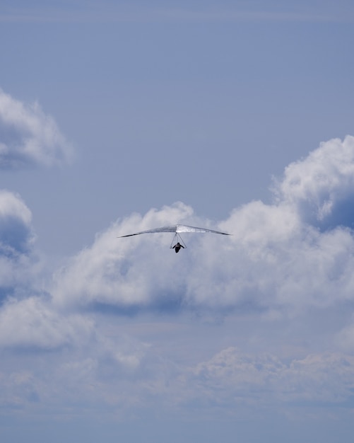 Silver hang glider on the background of clouds