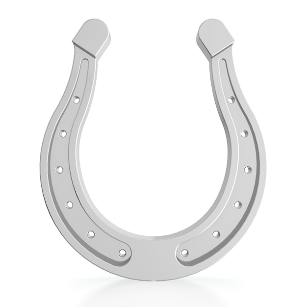 Silver horseshoe