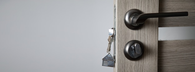 Photo silver house key in a door.