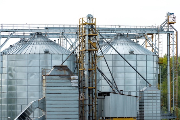 Silver silos on agro manufacturing plant for processing drying cleaning and storage of agricultural products flour cereals and grain Large iron barrels of grain Granary elevator