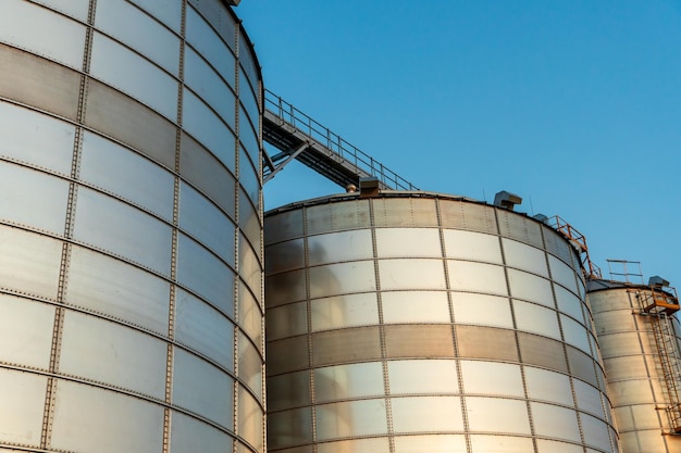 Silver silos on agro manufacturing plant for processing drying cleaning and storage of agricultural products flour cereals and grain Large iron barrels of grain Granary elevator