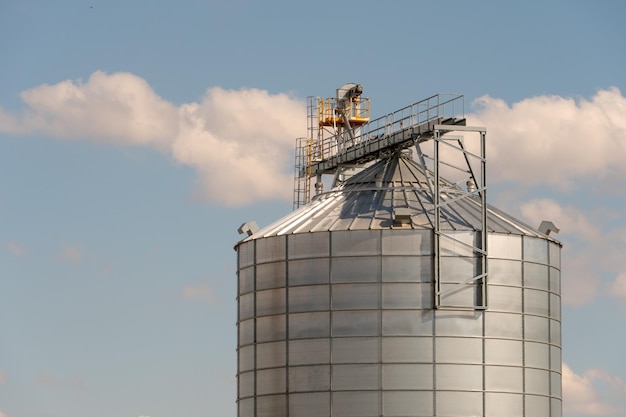 Silver silos on agro manufacturing plant for processing drying cleaning and storage of agricultural products flour cereals and grain Large iron barrels of grain Granary elevator