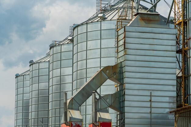 Photo silver silos on agro manufacturing plant for processing drying cleaning and storage of agricultural products flour cereals and grain large iron barrels of grain granary elevator