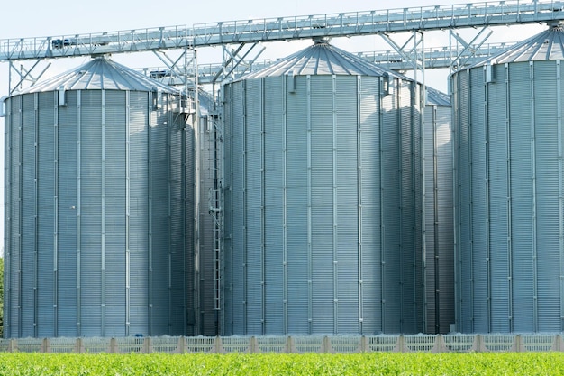 Silver silos on agro manufacturing plant for processing drying\
cleaning and storage of agricultural products flour cereals and\
grain large iron barrels of grain granary elevator