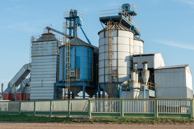 Silver silos on agro manufacturing plant for processing drying cleaning and storage of agricultural products flour cereals and grain Large iron barrels of grain Granary elevator