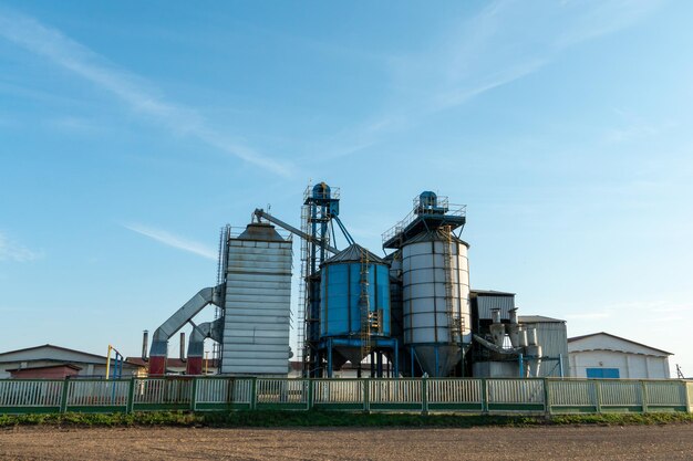 Silver silos on agro manufacturing plant for processing drying cleaning and storage of agricultural products flour cereals and grain Large iron barrels of grain Granary elevator