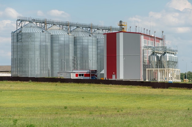 Silver silos on agro manufacturing plant for processing drying cleaning and storage of agricultural products flour cereals and grain Large iron barrels of grain Granary elevator