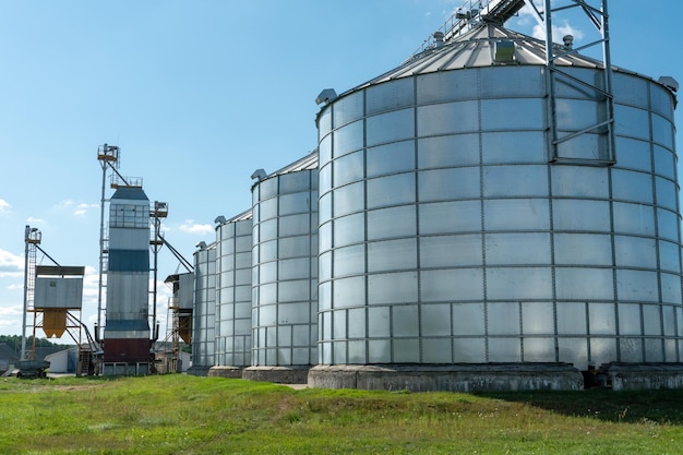 Silver silos on agro manufacturing plant for processing drying cleaning and storage of agricultural products flour cereals and grain Large iron barrels of grain Granary elevator