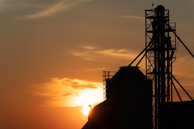 Silver silos on agro manufacturing plant for processing drying cleaning and storage of agricultural products flour cereals and grain Large iron barrels of grain Granary elevator