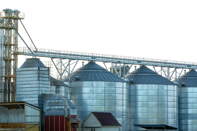 Silver silos on agro manufacturing plant for processing drying cleaning and storage of agricultural products flour cereals and grain Large iron barrels of grain Granary elevator